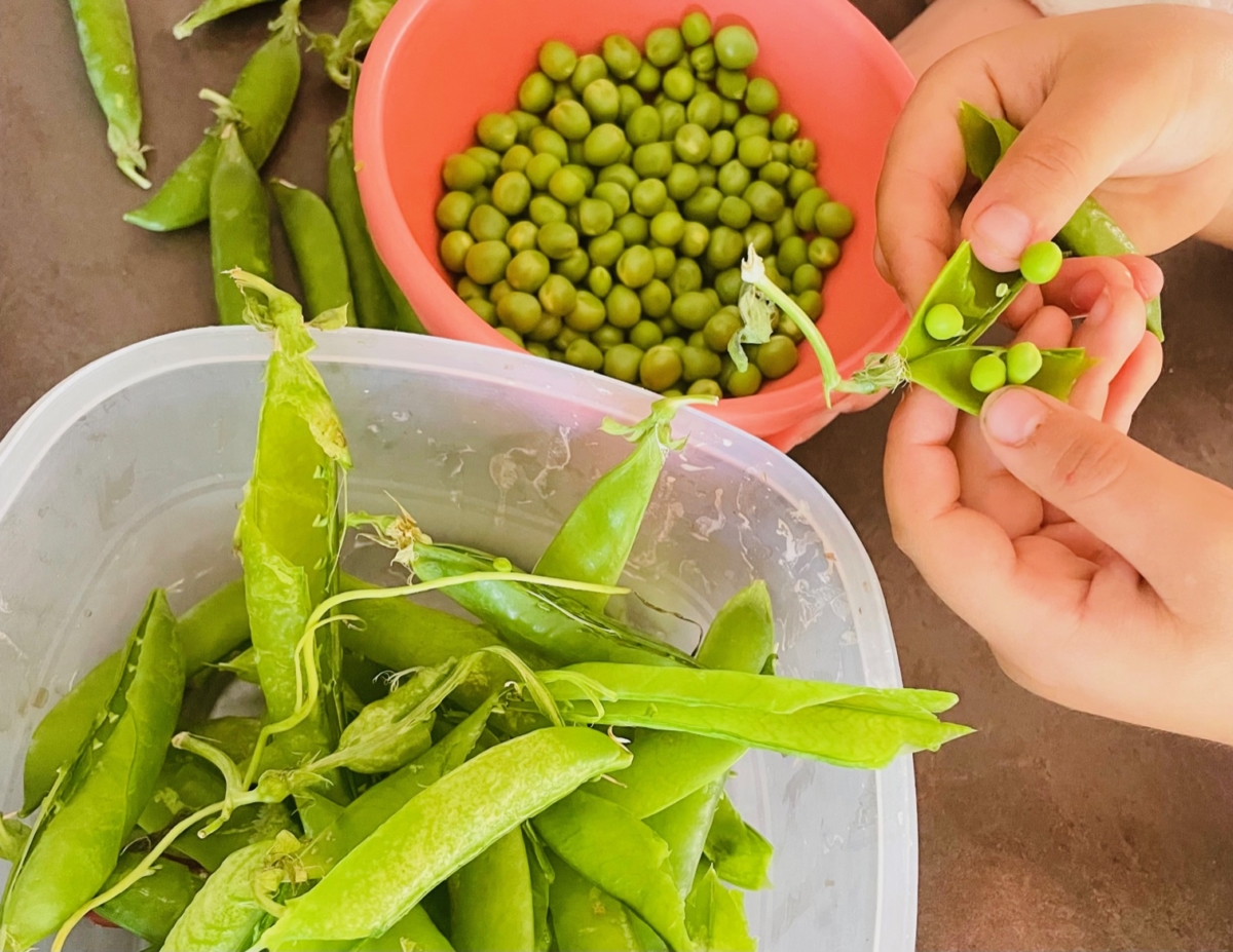 petit pois gourmands sautés